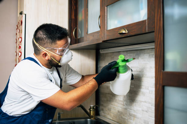 Best Exterminator Services  in Minorca, LA
