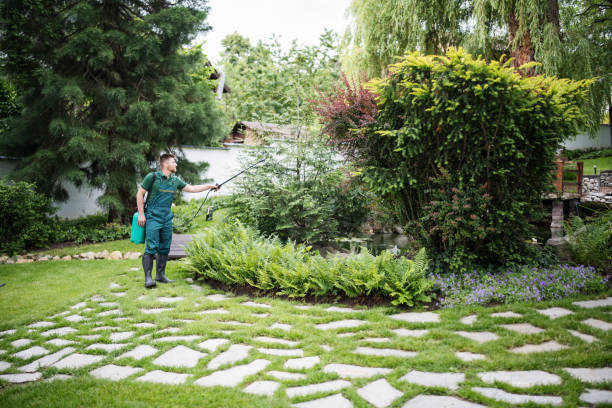 Best Mosquito Control Services  in Minorca, LA