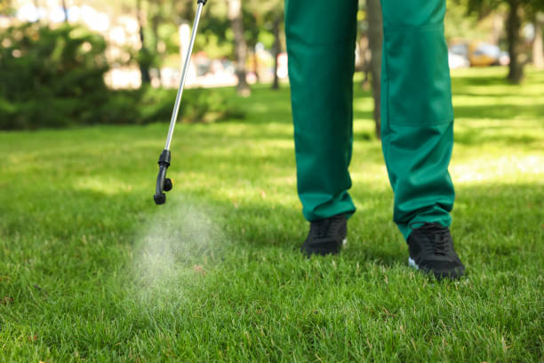 Best Wildlife Control Services  in Minorca, LA