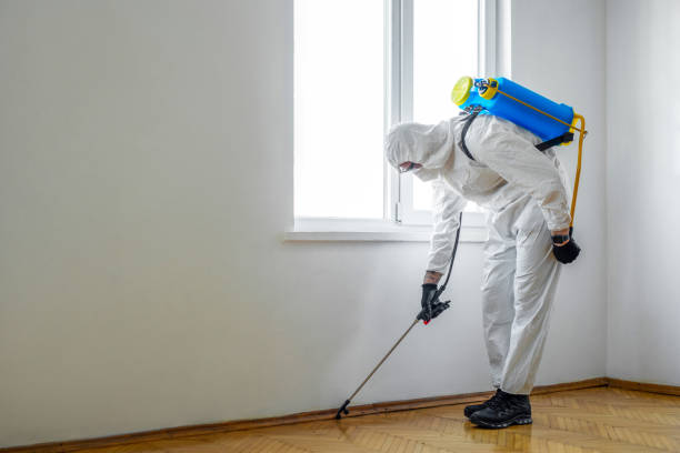  Minorca, LA Pest Control Pros