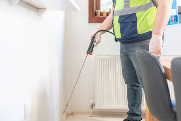 Best Termite Control Services  in Minorca, LA