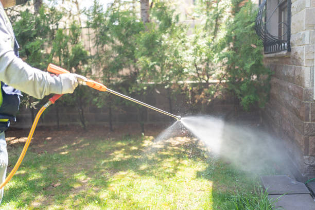 Best Flea Control Services  in Minorca, LA