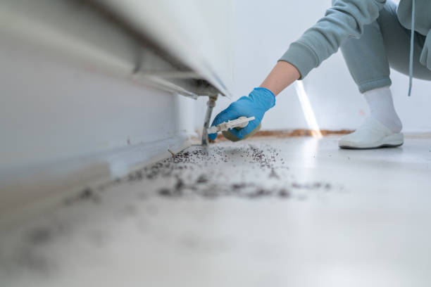 Best Commercial Pest Control Services  in Minorca, LA